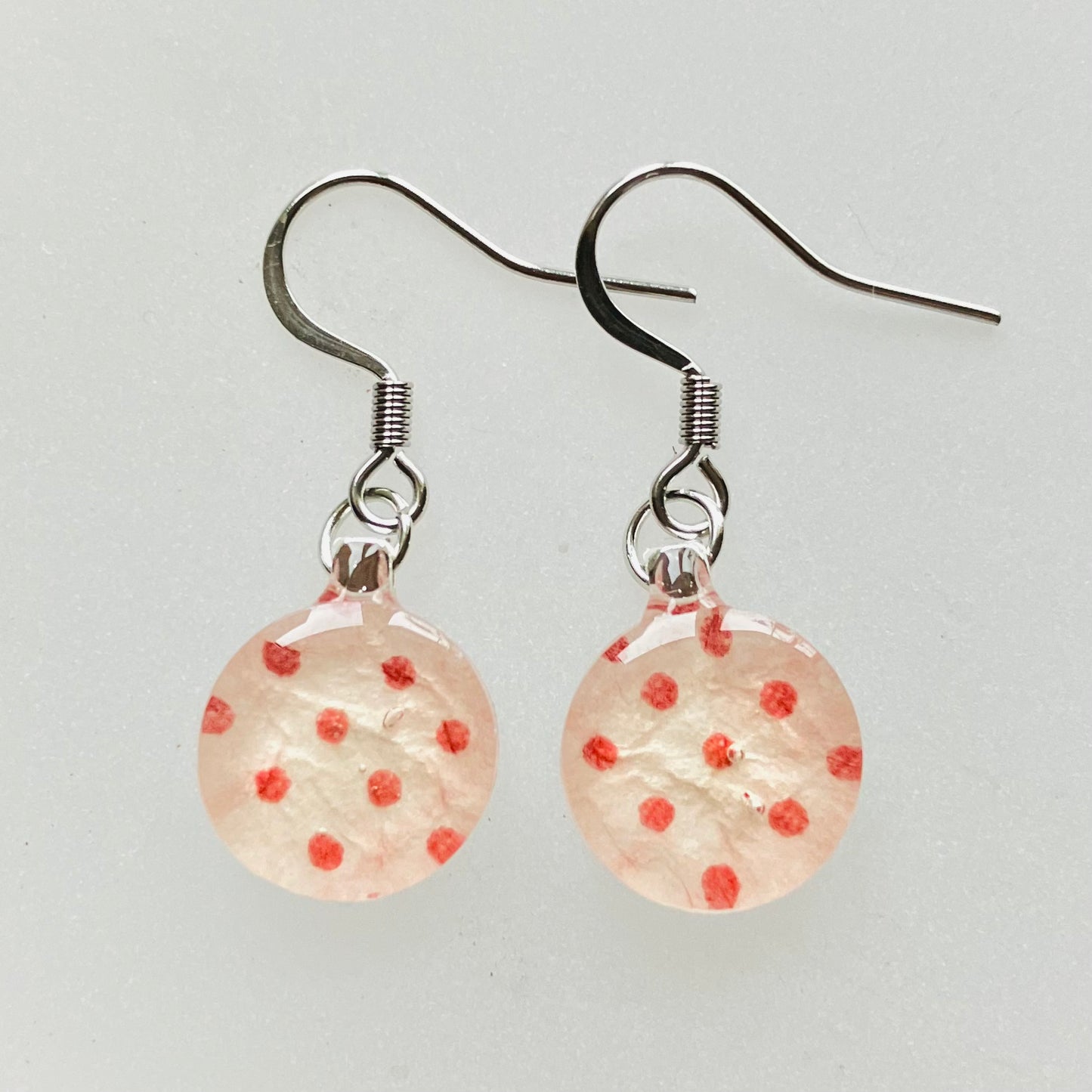 Hook Earrings Silver stainless steel small 01