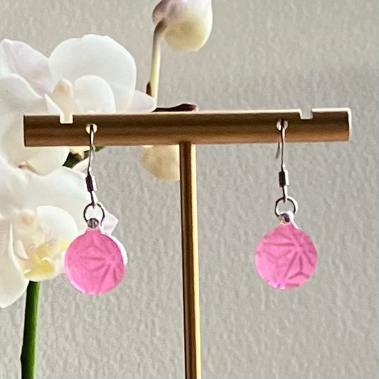 Hook Earrings Silver stainless steel small 02