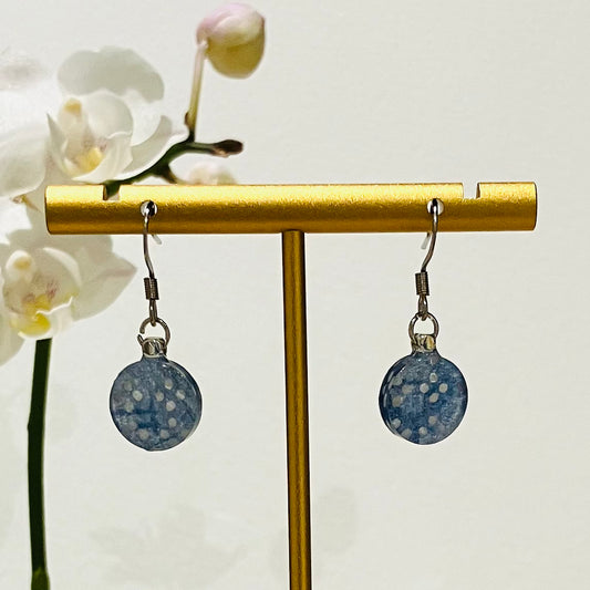 Hook Earrings Silver stainless steel small 09